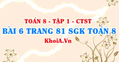 Bài 6 trang 81 SGK Toán 8 Tập 1 Chân trời sáng tạo